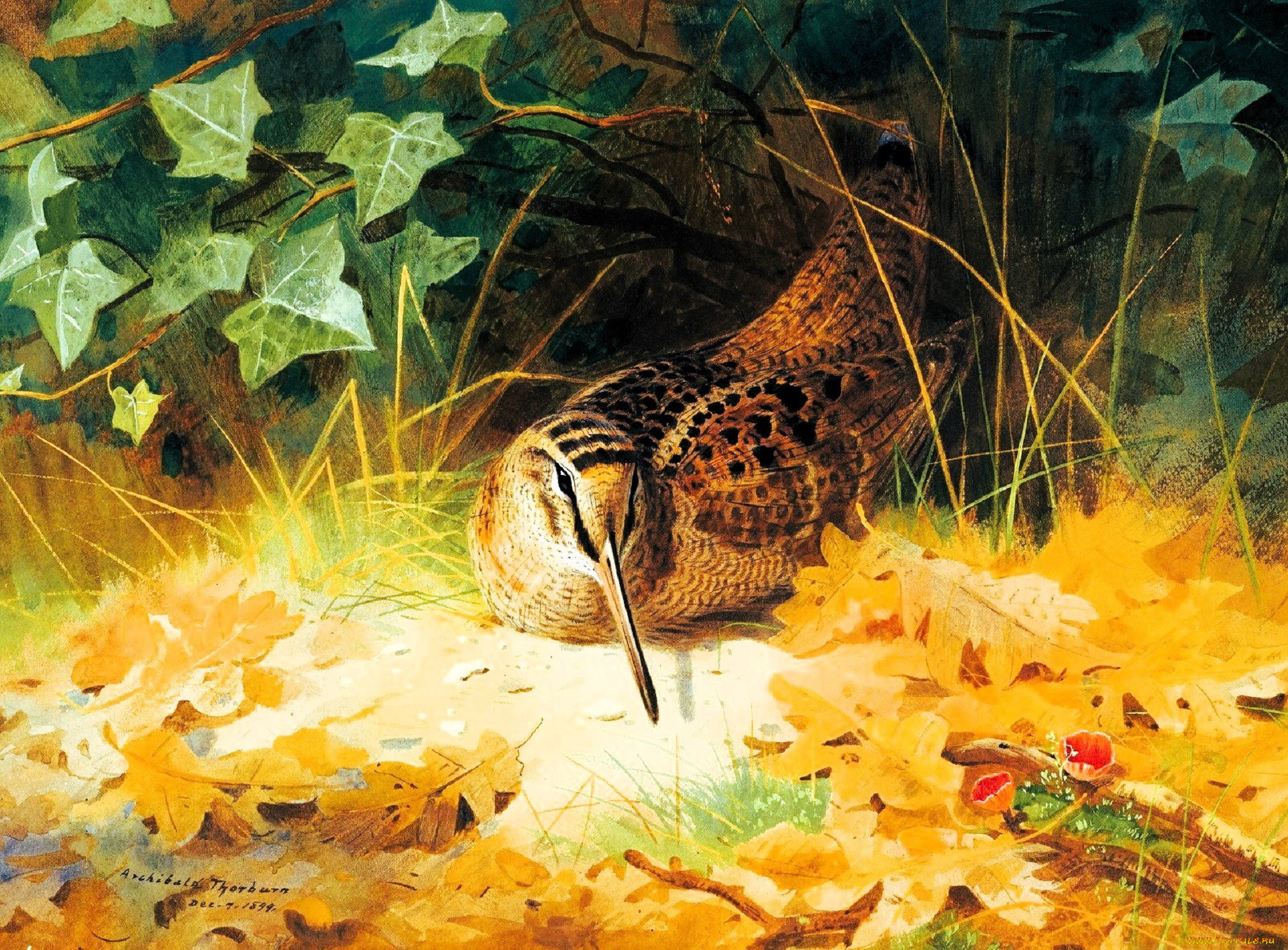 , archibald thorburn, , , , , , 